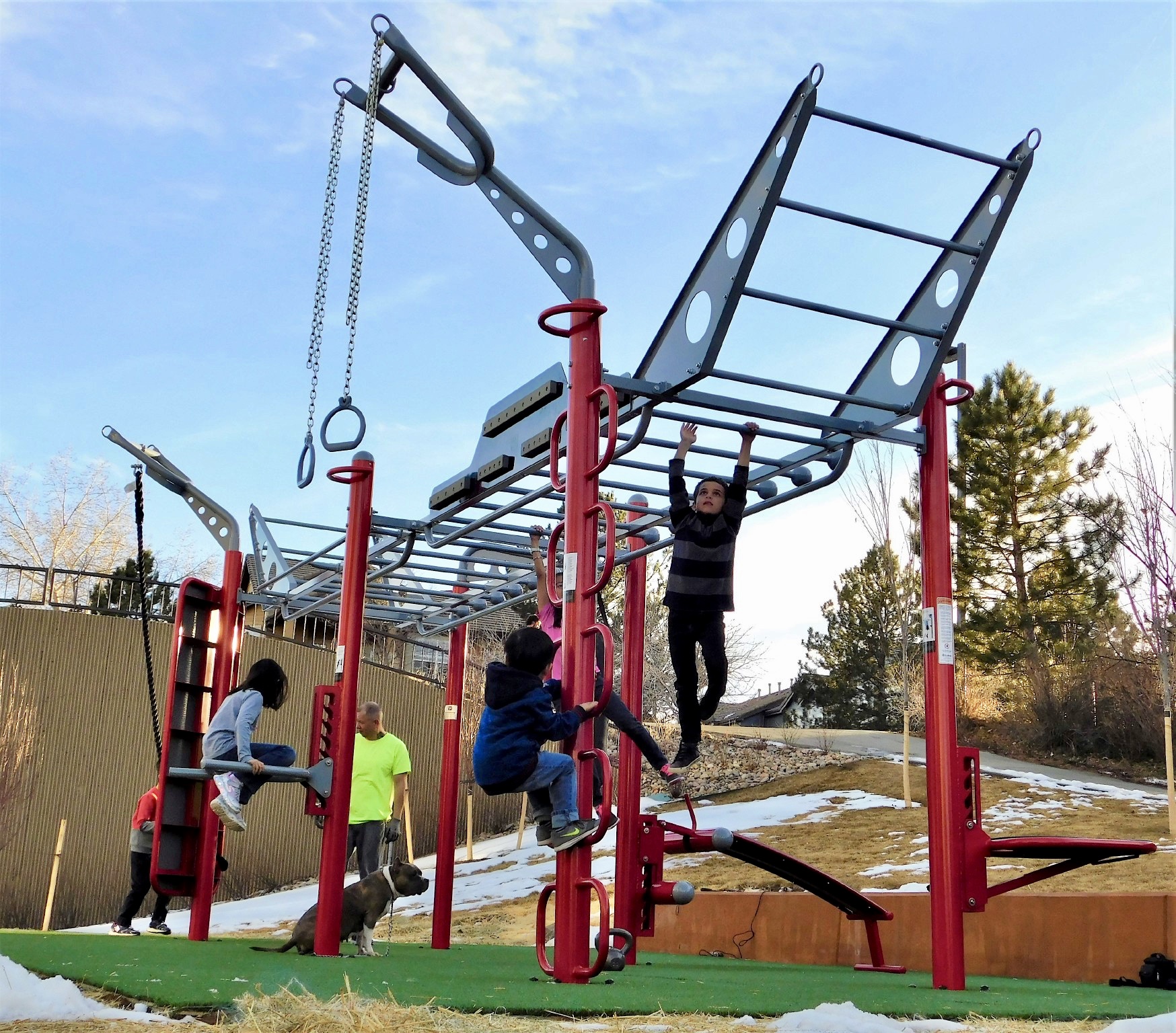 MoveStrong T-Rex Outdoor Fitness
