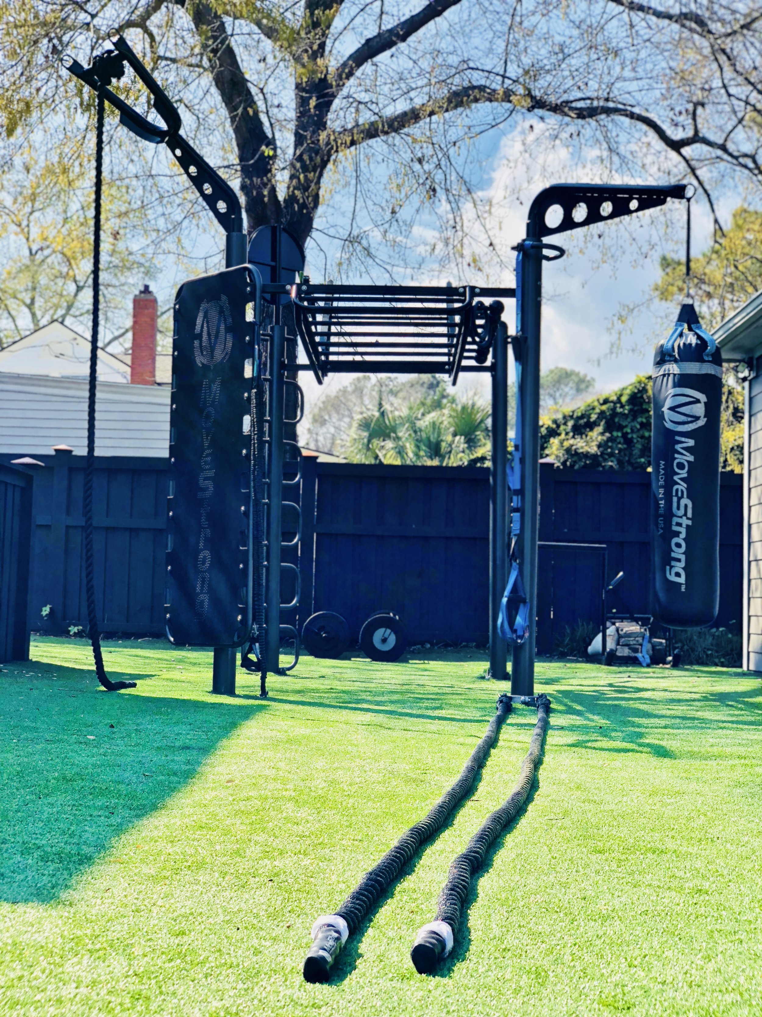 MoveStrong T-Rex Outdoor Functional Training Station