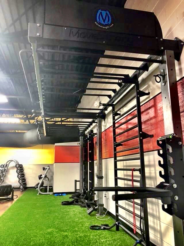 Wall Mount Functional Training Station