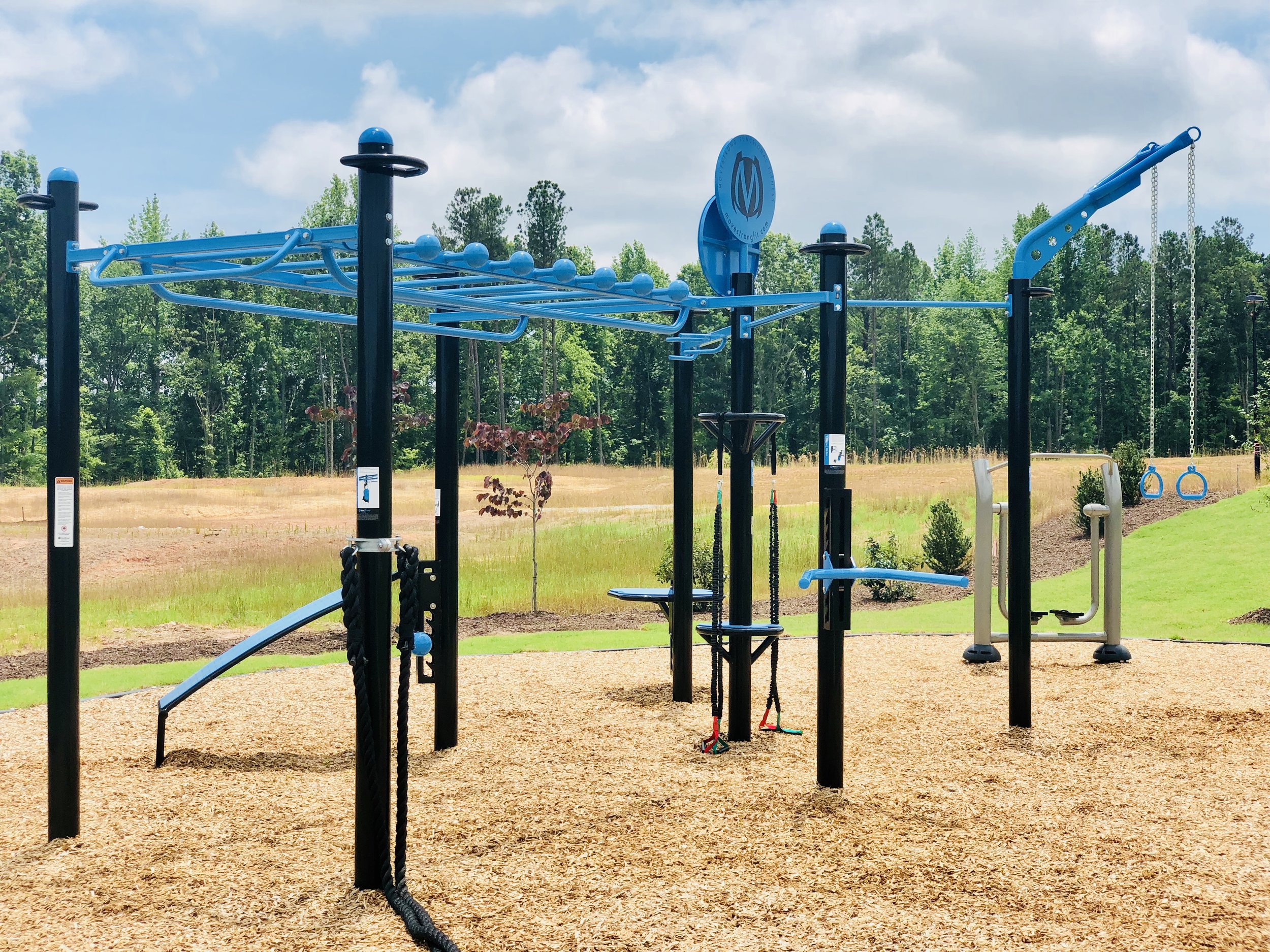 MoveStrong T-Rex Outdoor Fitness
