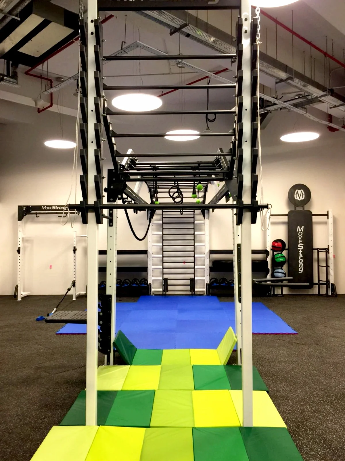 Salmon Ladder option
