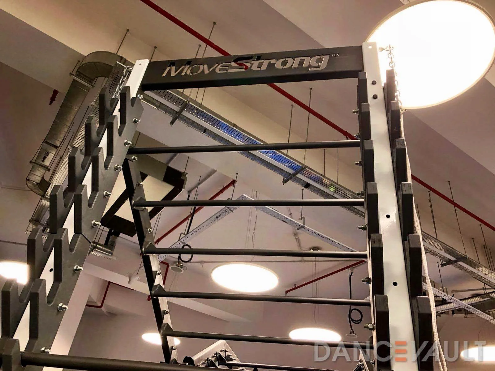 MoveStrong Salmon Ladder