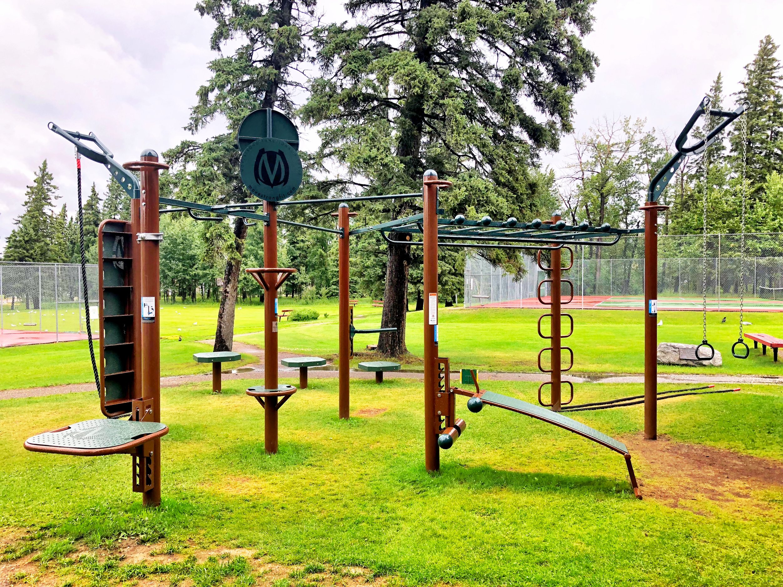 MoveStrong T-Rex outdoor functional training station