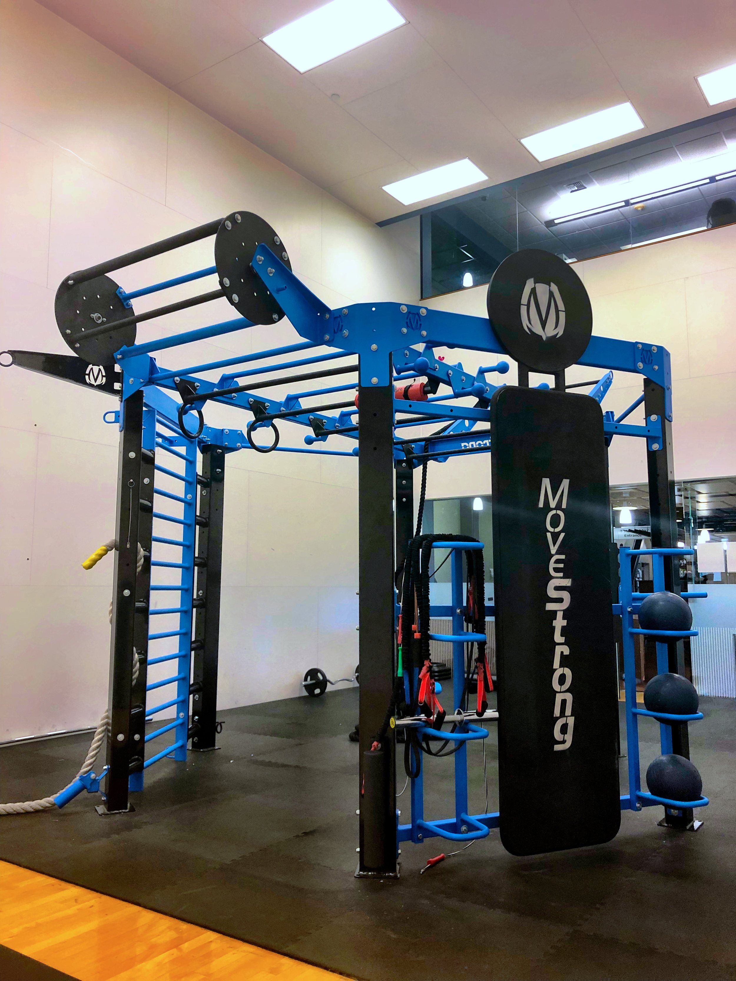 The Revolver Pull-up bar