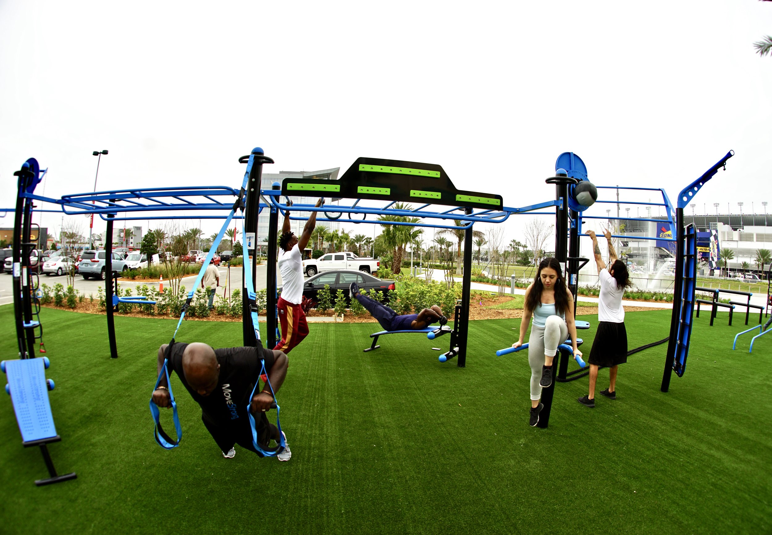Movestrong T-rex Outdoor Fitness Equipment
