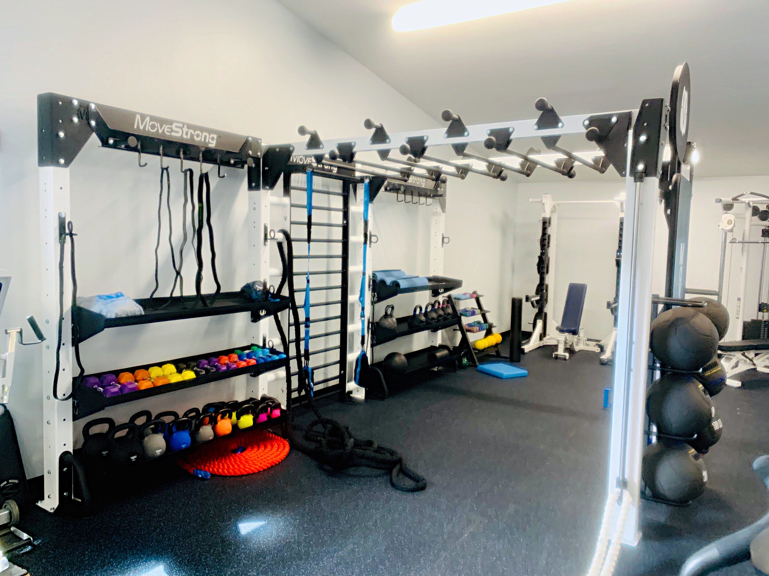 Physical Therapy Clinics Adds MoveStrong Functional ...