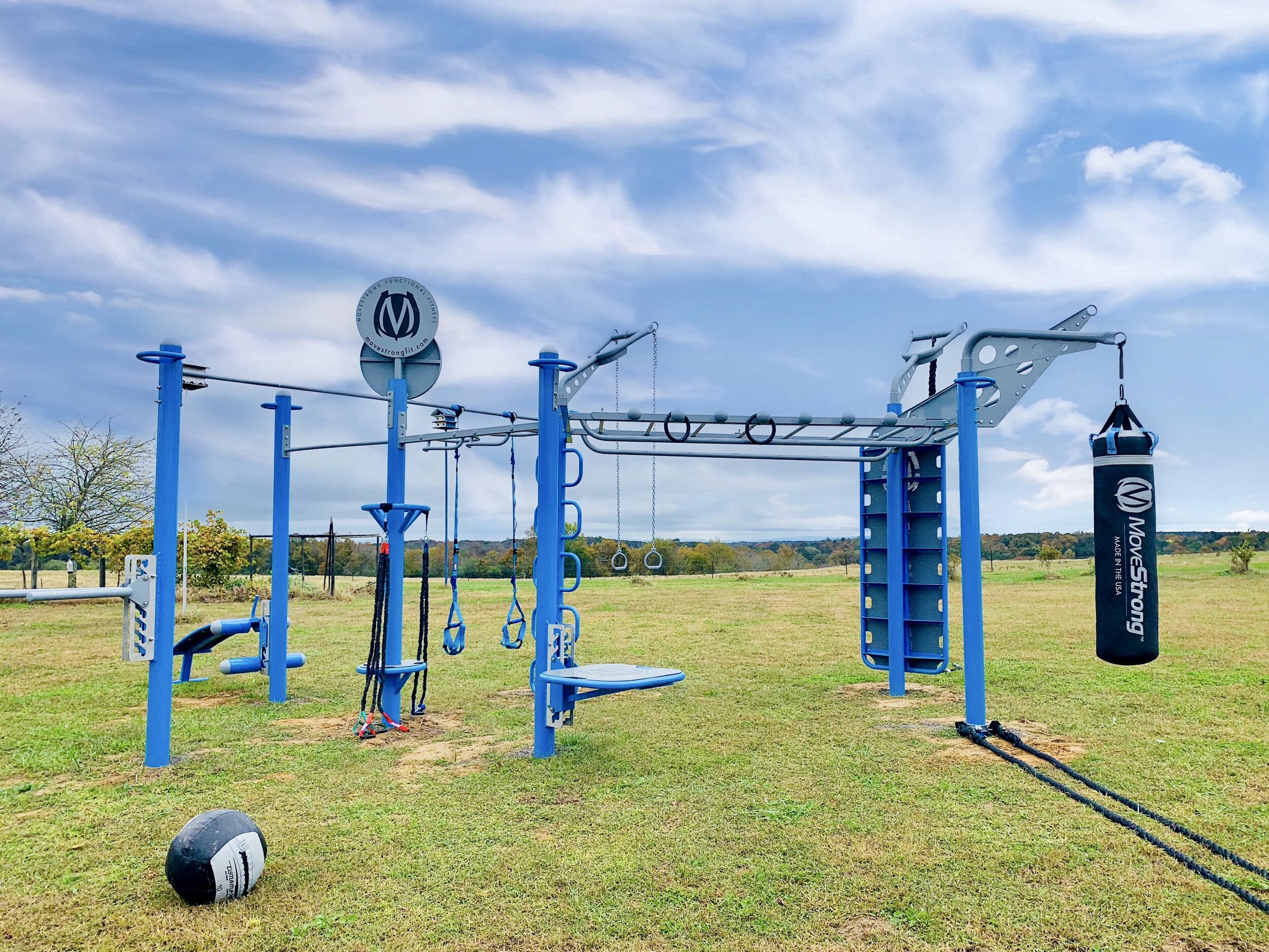 MoveStrong T-Rex Outdoor Functional Training Station