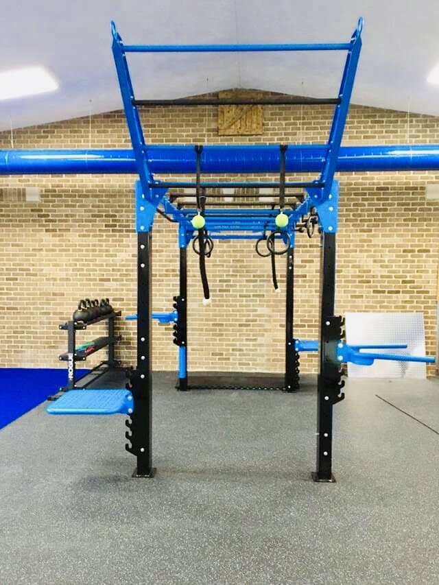 Gym fitness functional training rig