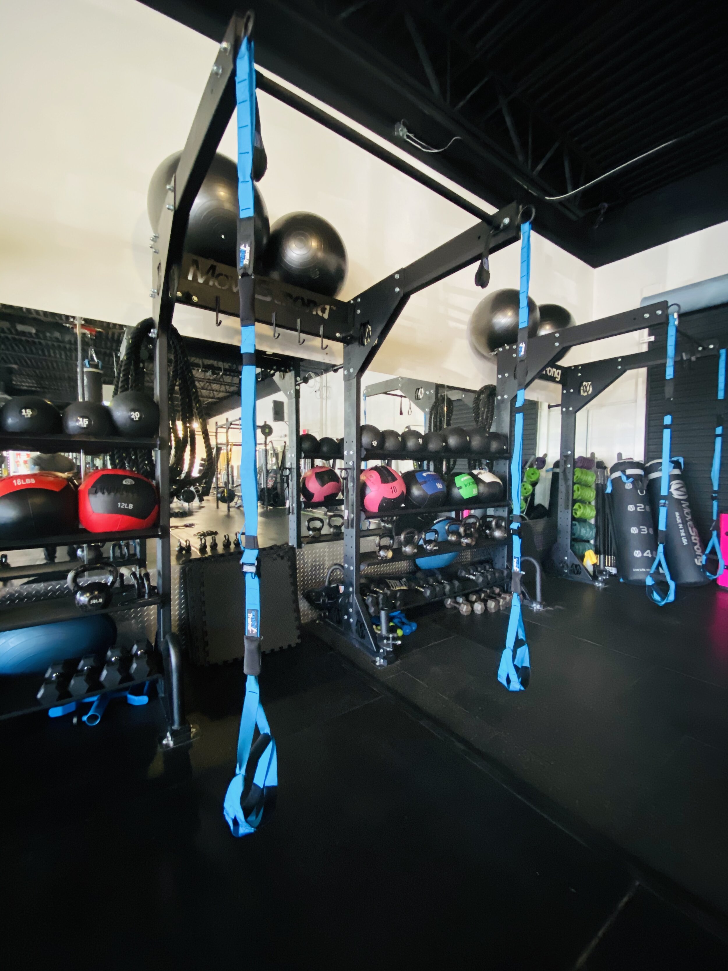 Pull-up Bar and Suspension Exercise Area