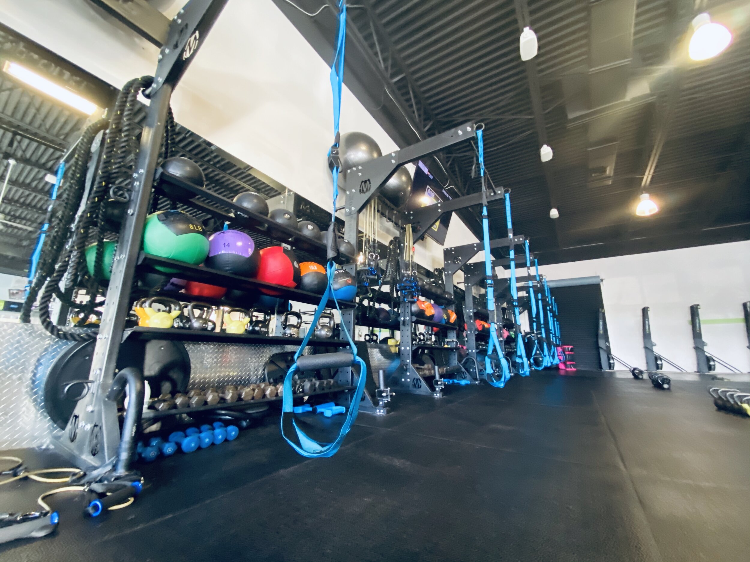 MoveStrong Functional fitness training equipment and storage solutions