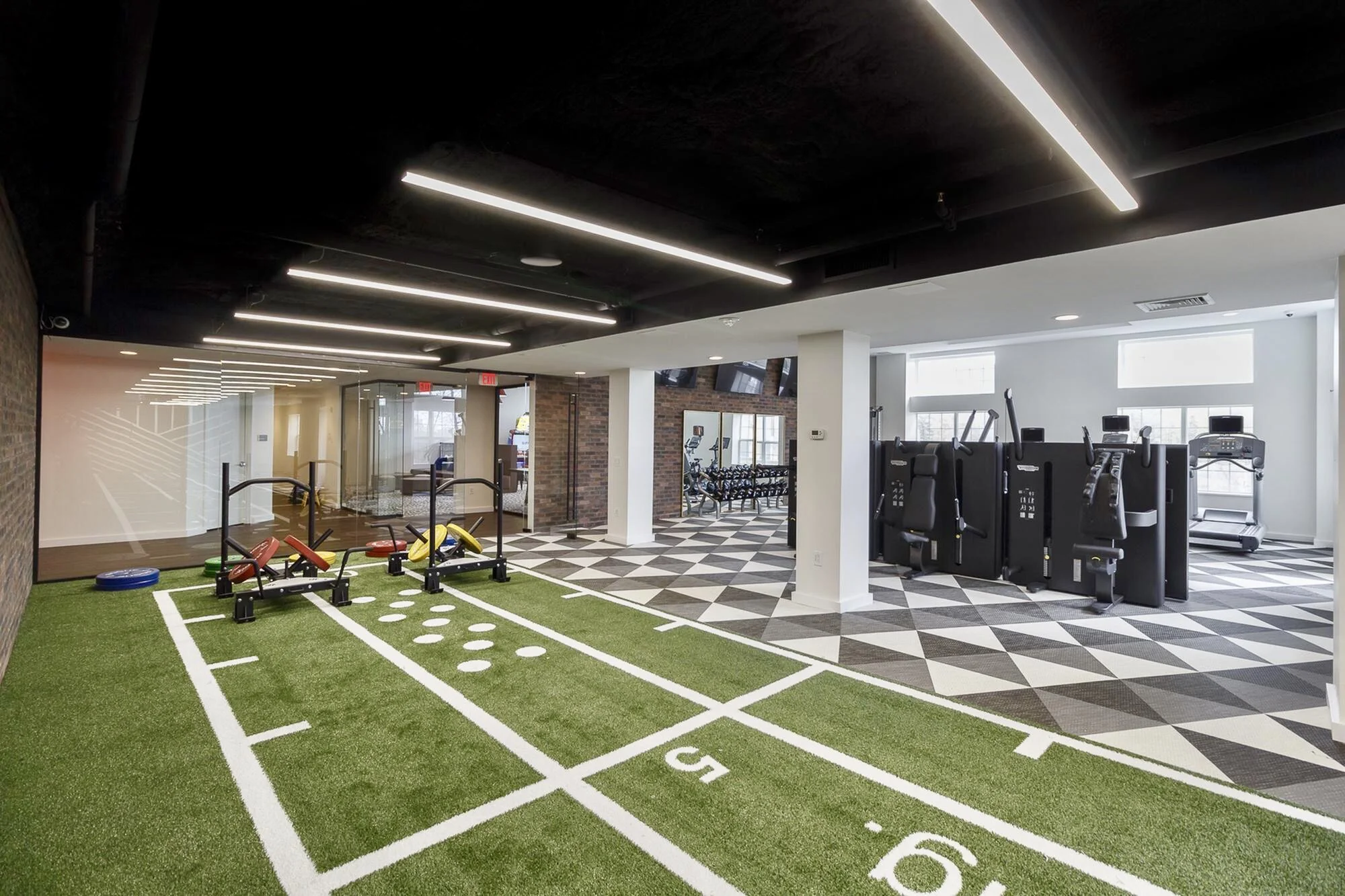 Apex 290 Custom Turf and The Mantis.JPEG