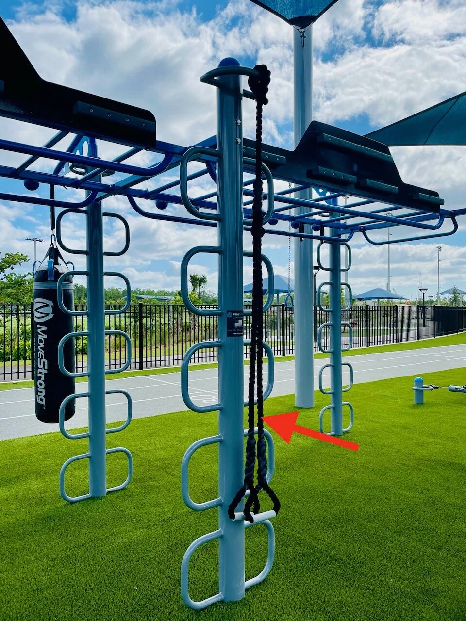 Elevate Trainer Suspension