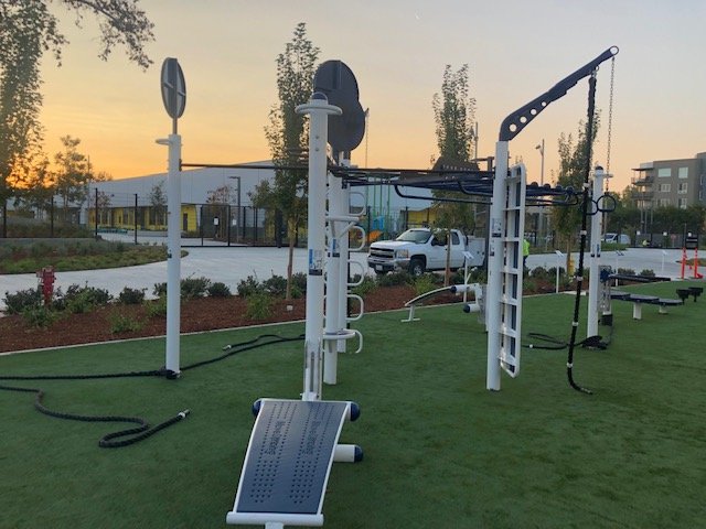 MoveStrong T-Rex outdoor fitness station