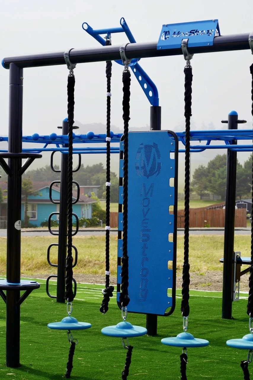 Hanging Balance Discs
