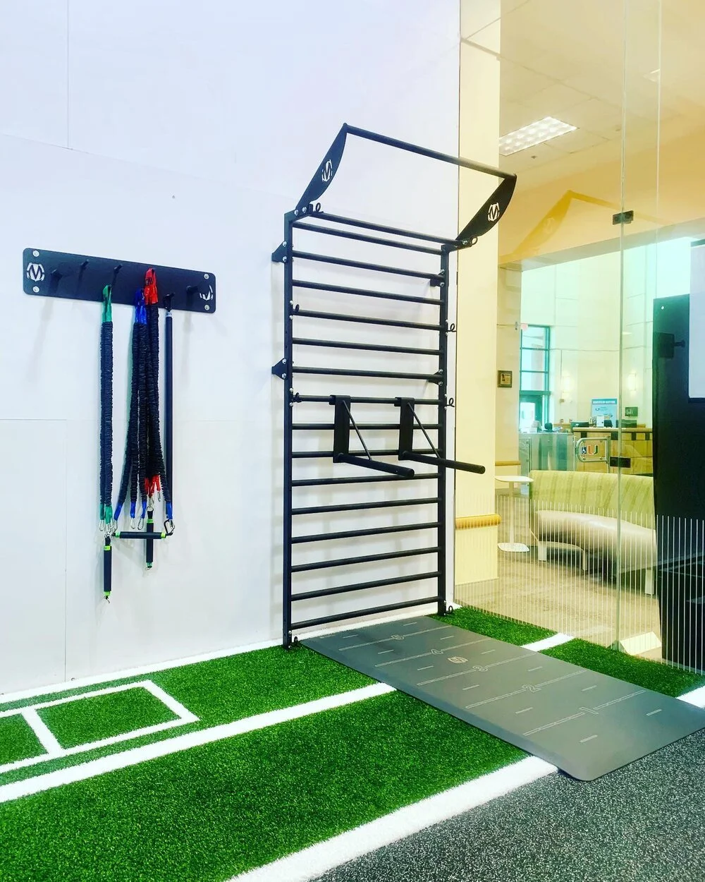 Indoor Stall Bar Setup &amp; Dip Handles &amp; Accessory