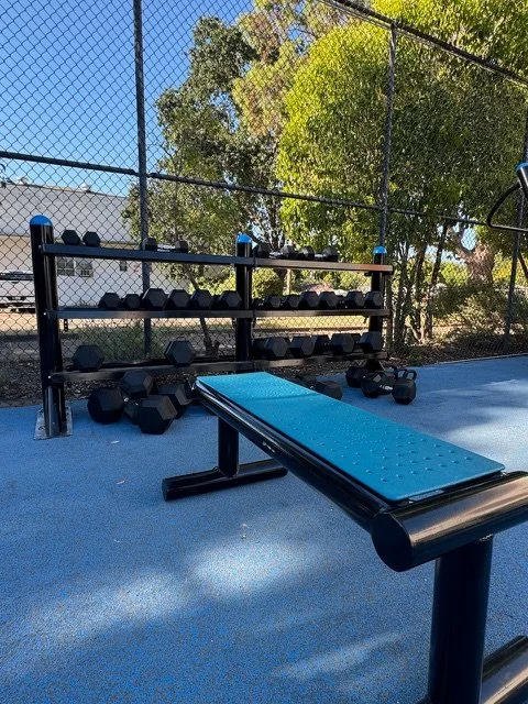 Flat Bench & Dumbbell Rack