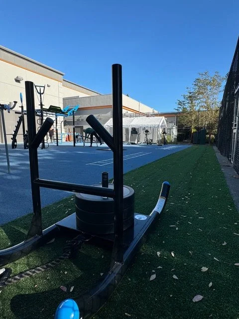 Drive Sled