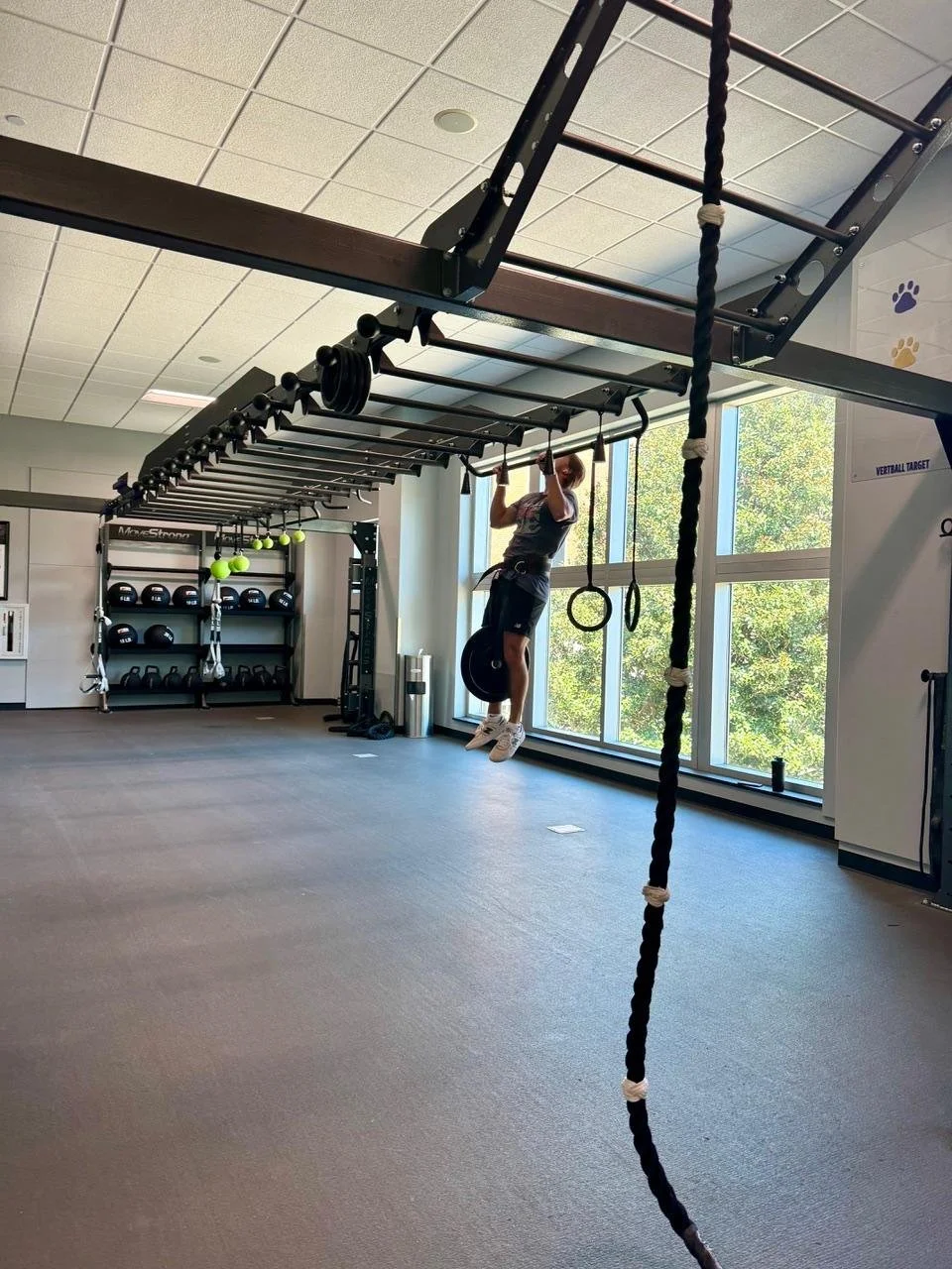 Nova Link Bridge + Elite Storage Racks: The Ultimate Functional Fitness ...
