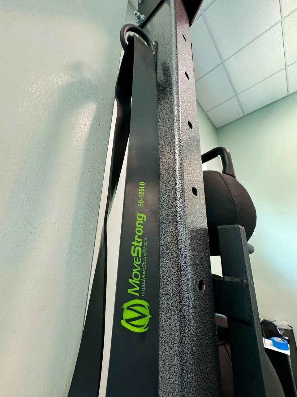 Nova Link Bridge + Elite Storage Racks: The Ultimate Functional Fitness ...