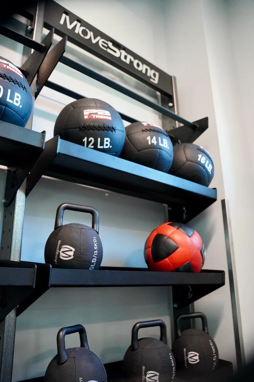 Nova Link Bridge + Elite Storage Racks: The Ultimate Functional Fitness ...
