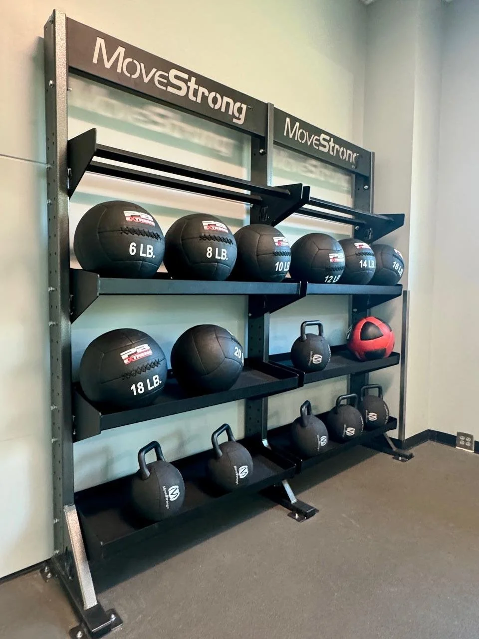 Elite Storage Rack System: Medicine Balls &amp; Kettlebells