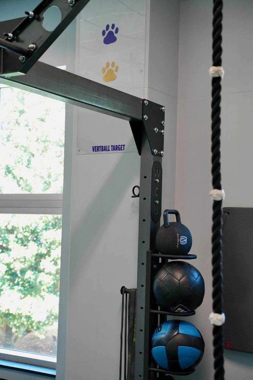 Nova Link Bridge + Elite Storage Racks: The Ultimate Functional Fitness ...