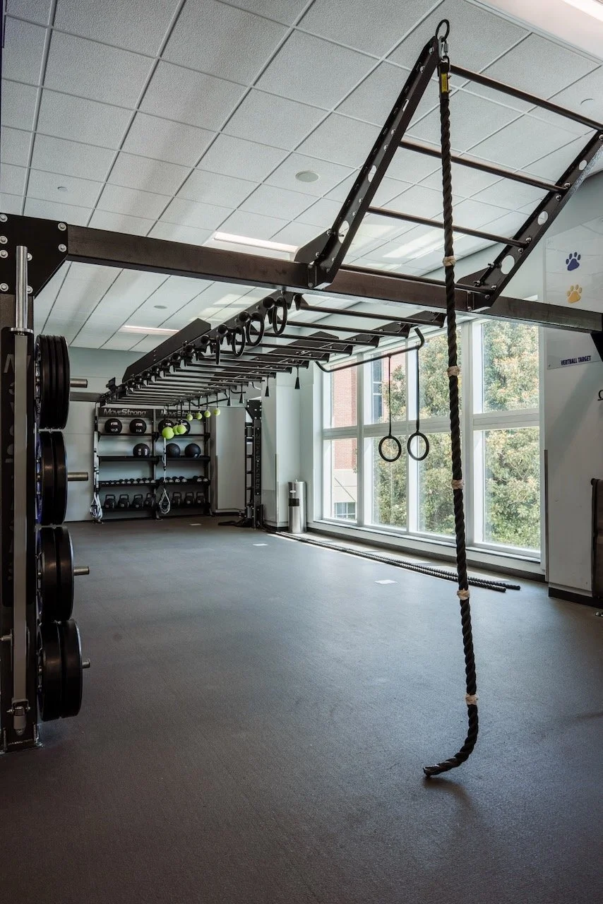 Nova Link Bridge + Elite Storage Racks: The Ultimate Functional Fitness ...