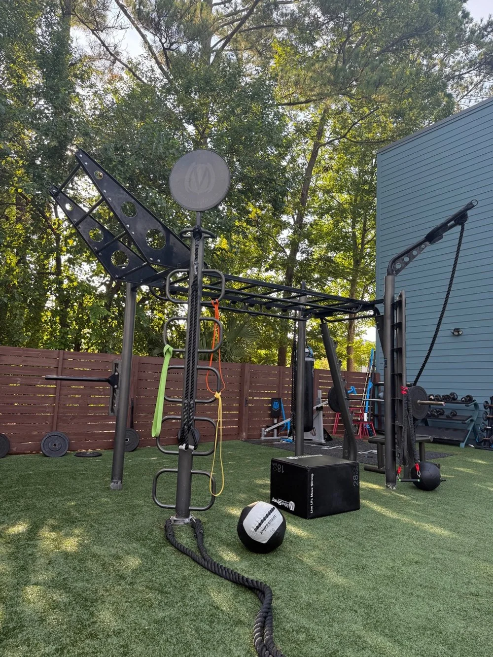 T-Rex Setup