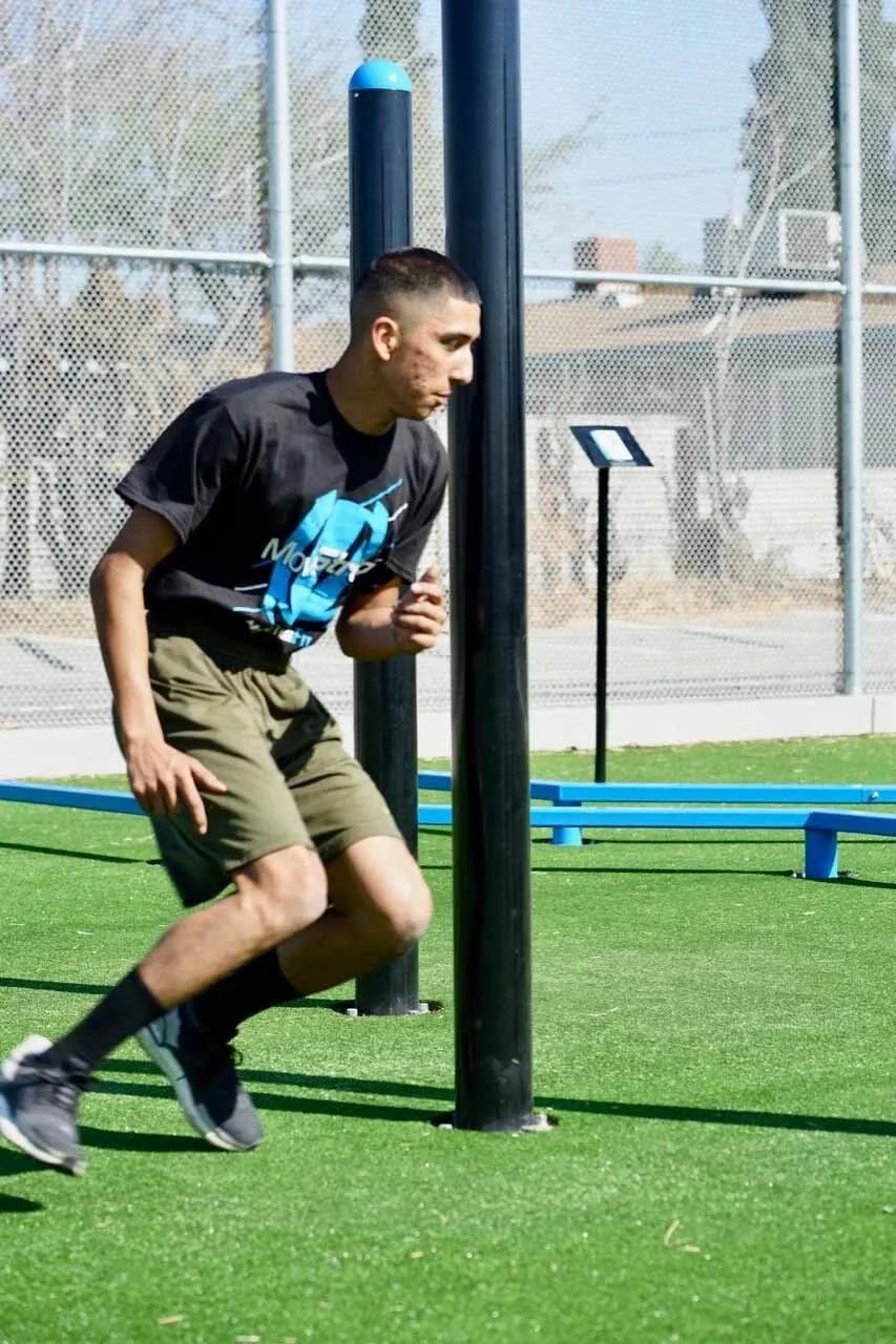 Slalom Agility Post 