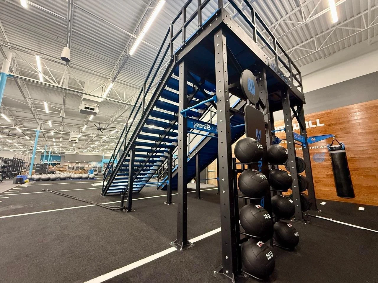 Medicine Ball Storage &amp; Pull Up Bars