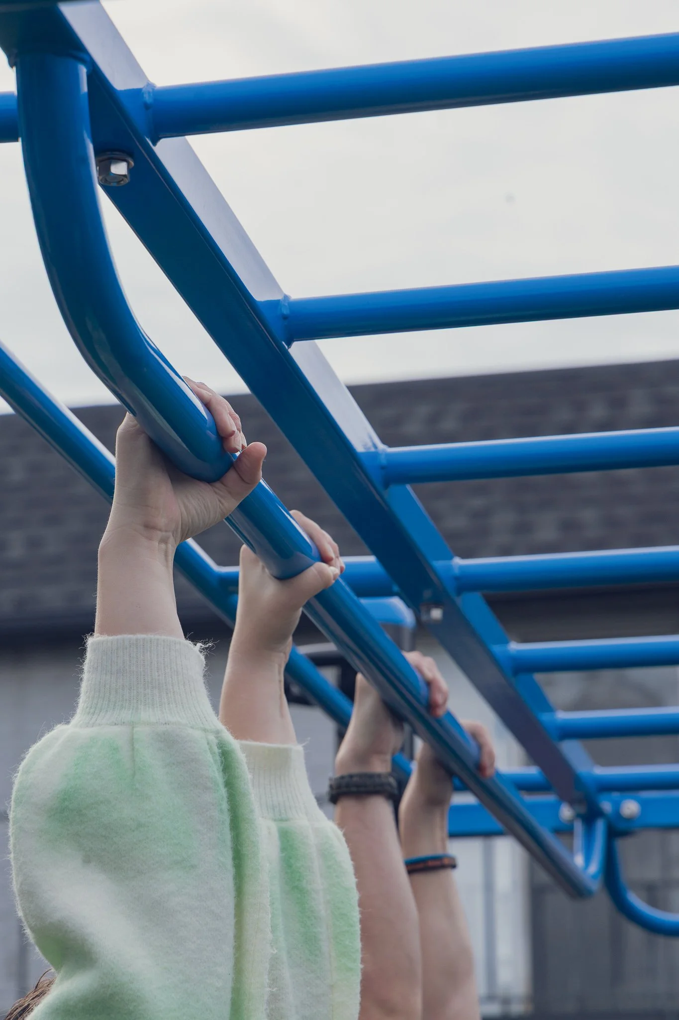 Monkey Bar / Pull Up Bar