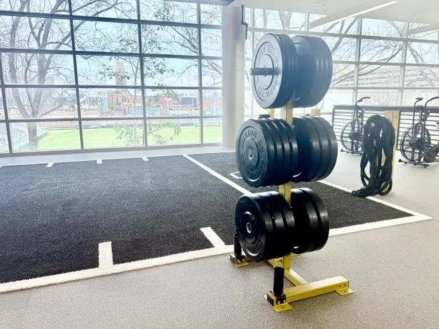 Bumper plate storage rack