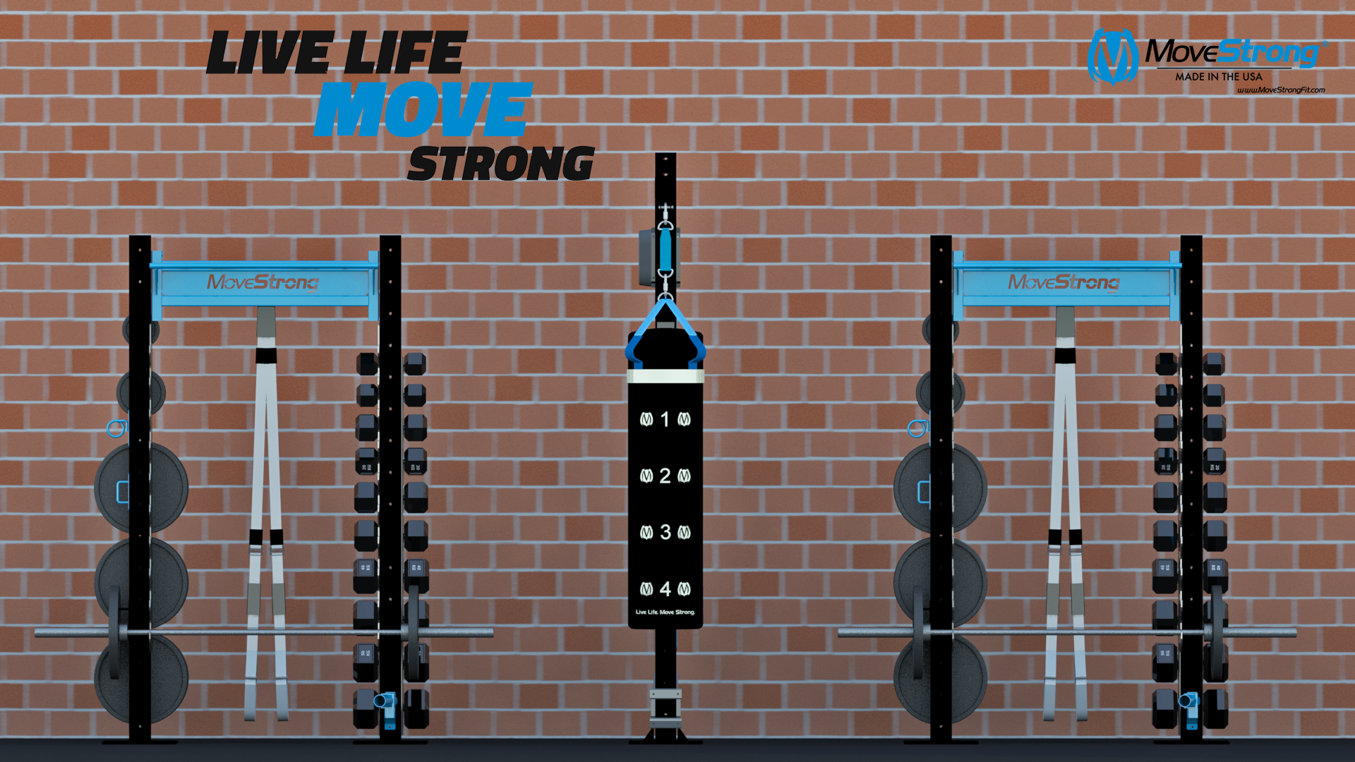Pillar-Functional Column w- Group Squat Rack - 3.png