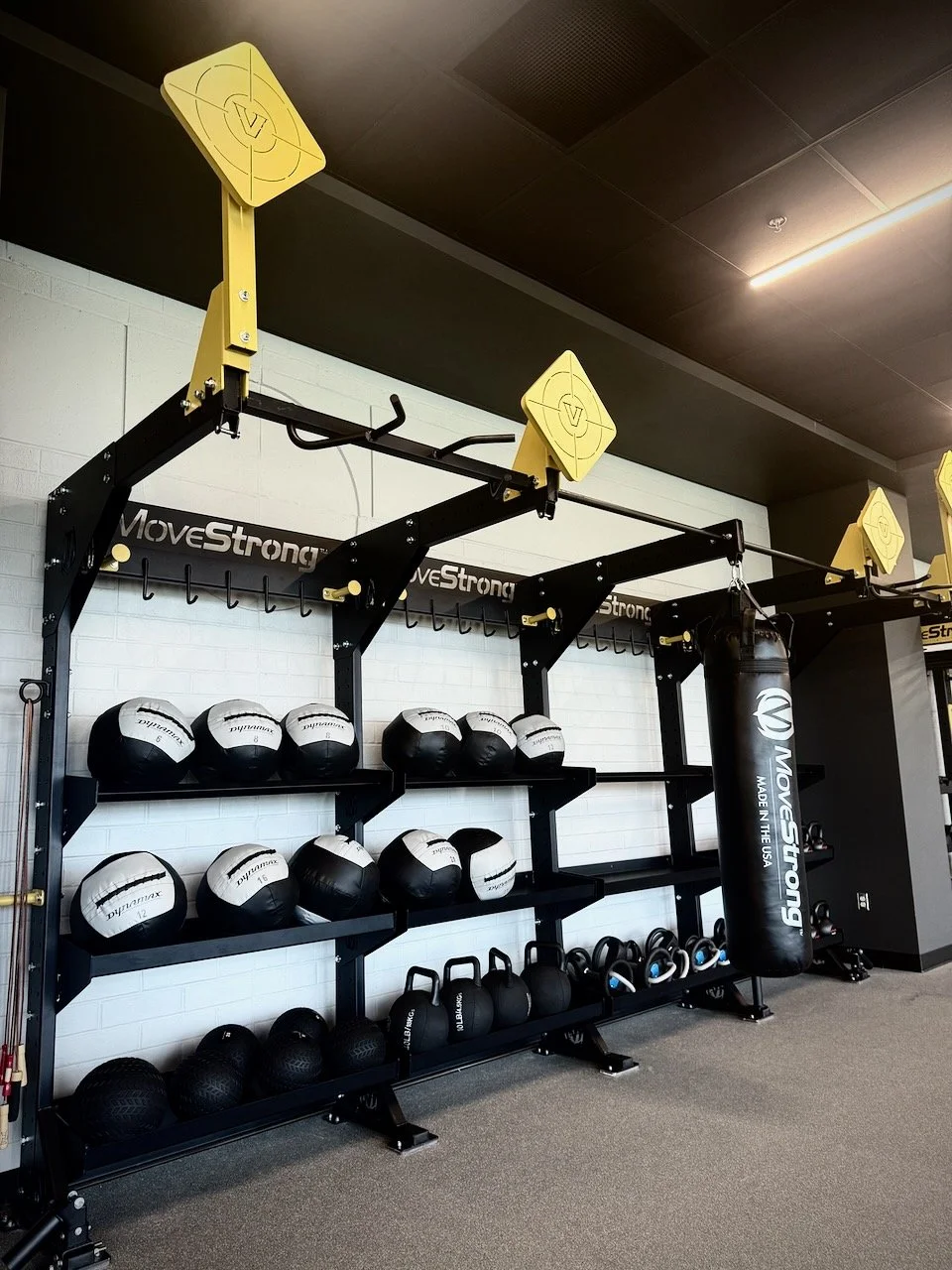MoveStrong, Elite Fitness storage rack