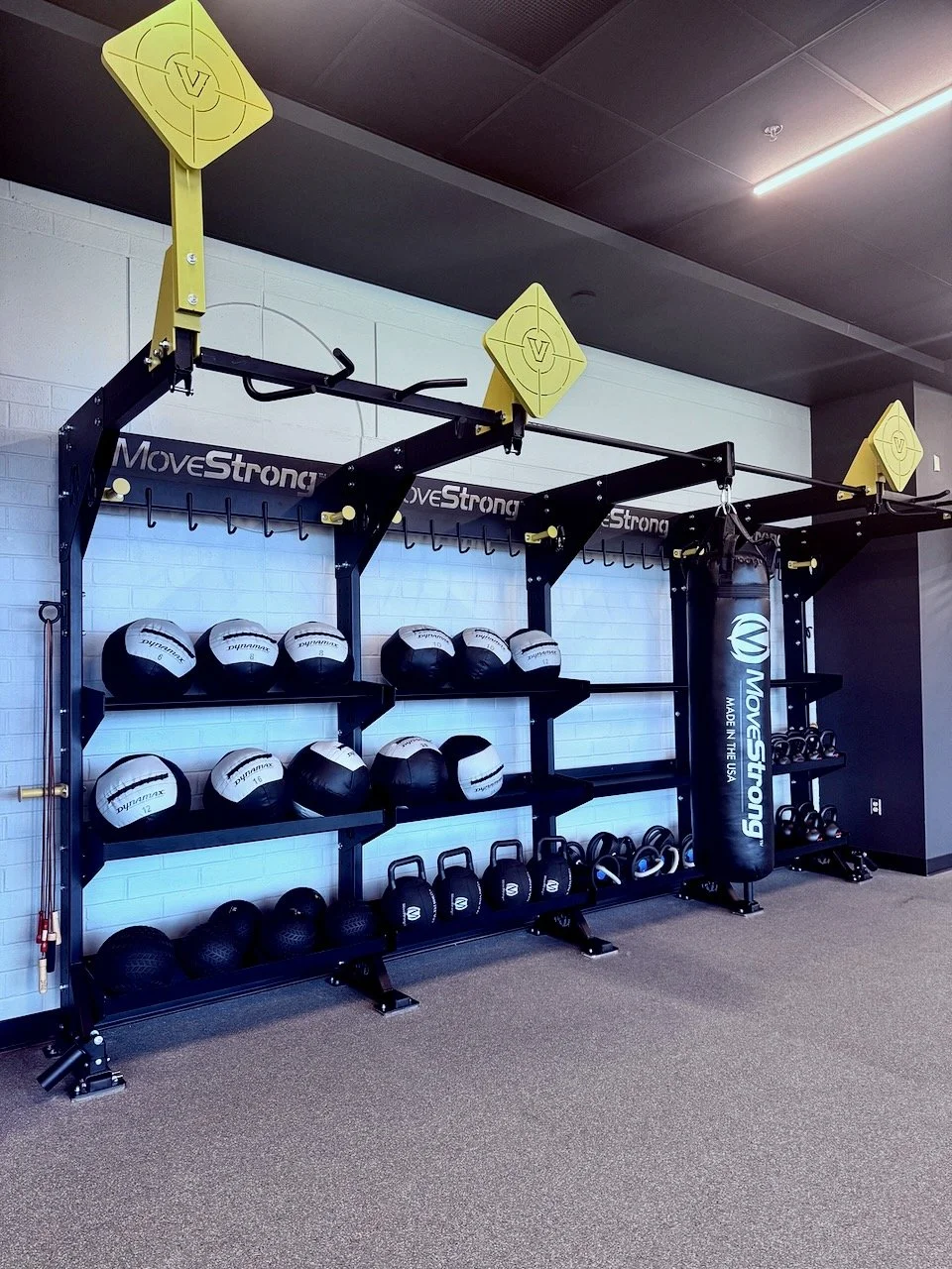 Functional Storage Rack Fitness Gym Design
