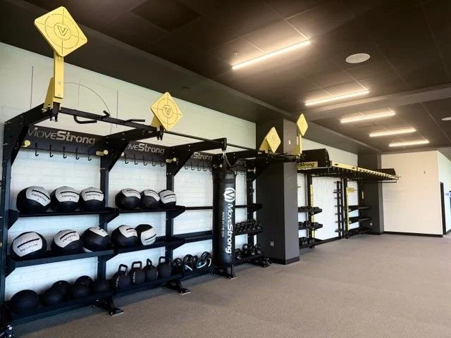 Nove In Line Vanderbilt University