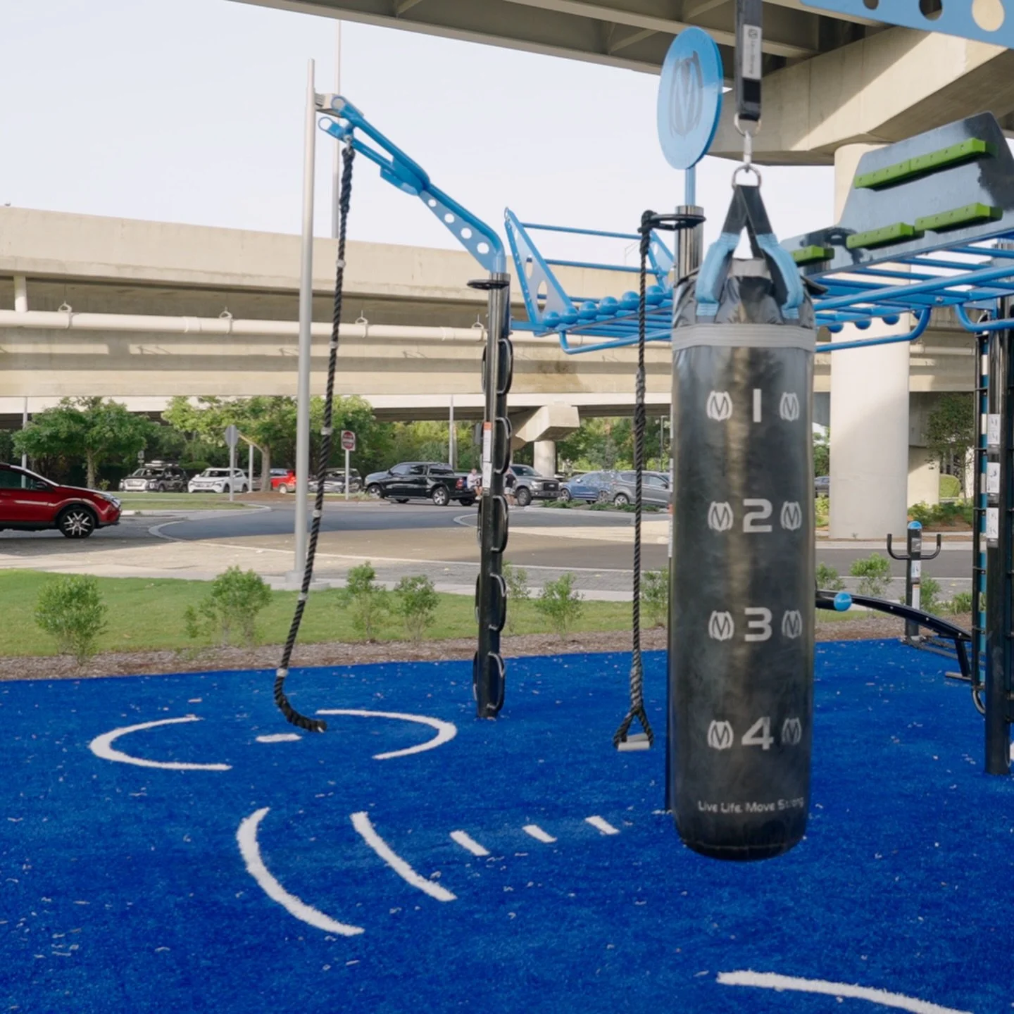 Elevate Trainer Graphic