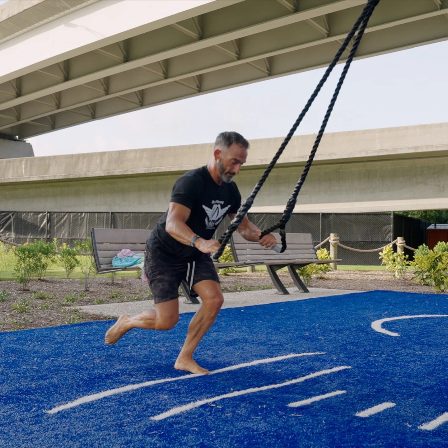 Elevate Trainer Graphic