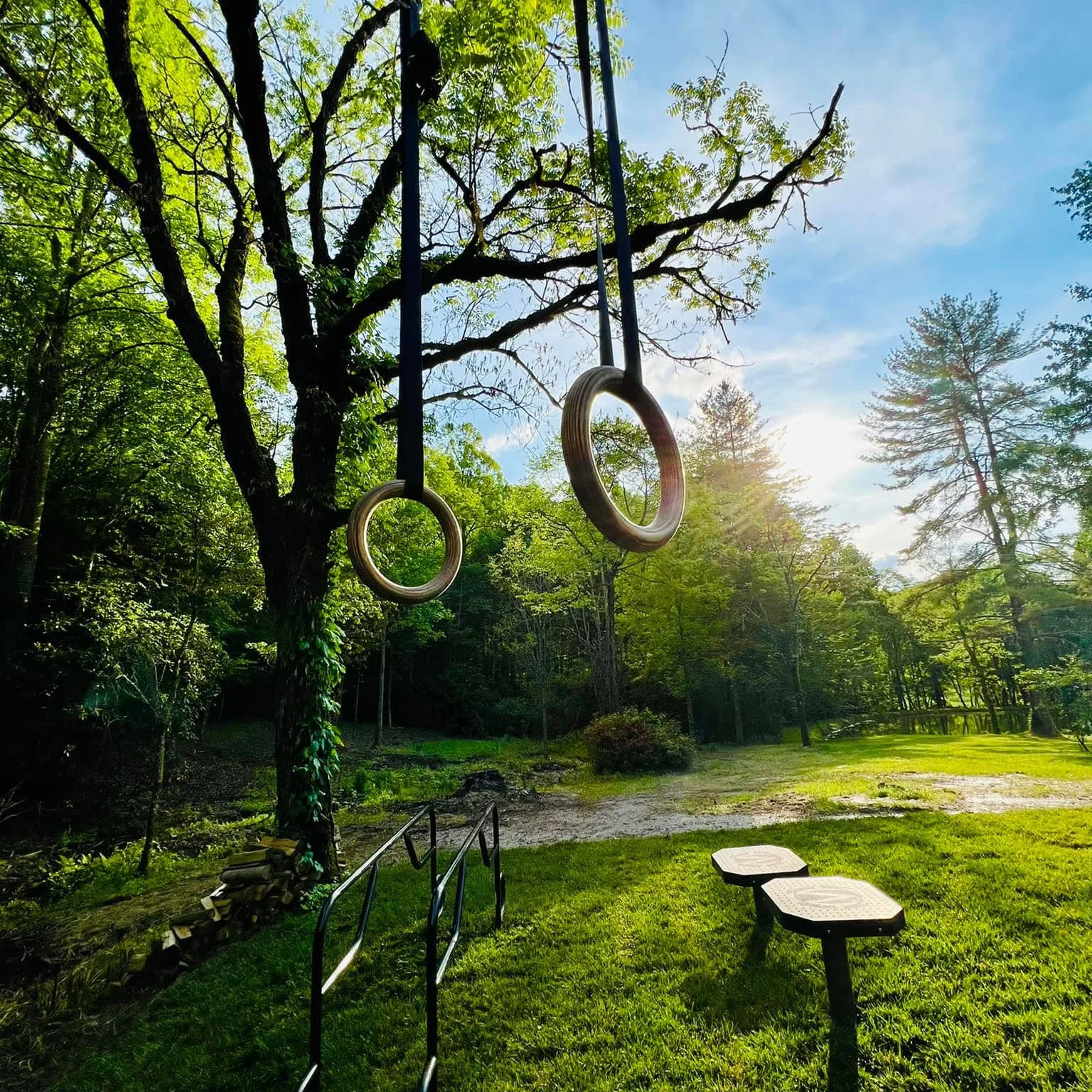 MoveStrong OC Ring Grip Traverse