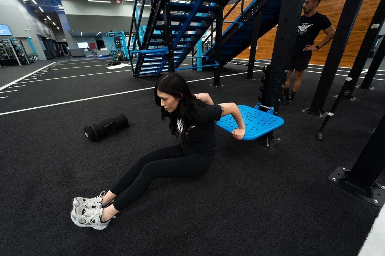 Club4 Staff Training - Adjustable Dip