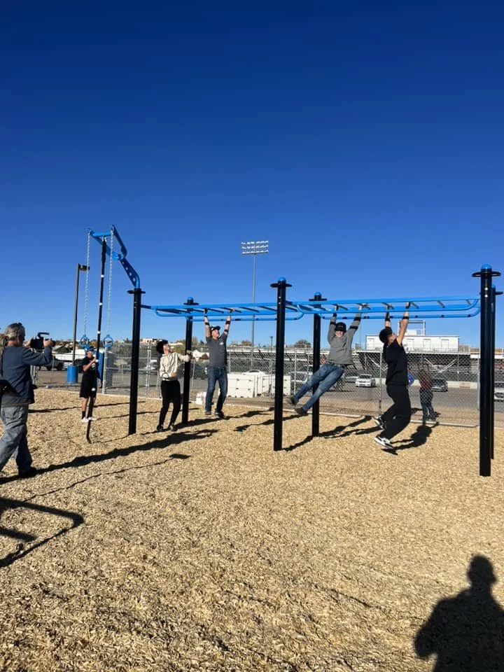 T-Rex Functional Fitness Station
