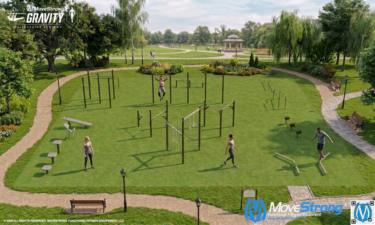 MoveStrong Gravity Calisthenics System