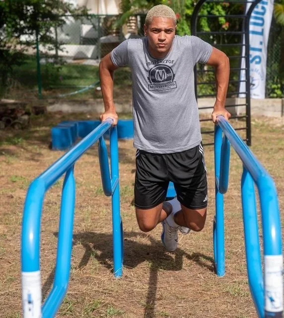 Parallel Bars