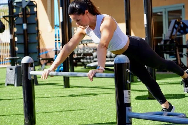 Push Up Bars