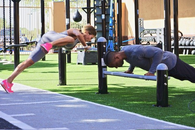 Push Up Bars