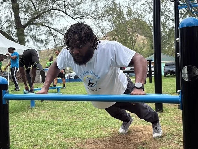 Push Up Bar
