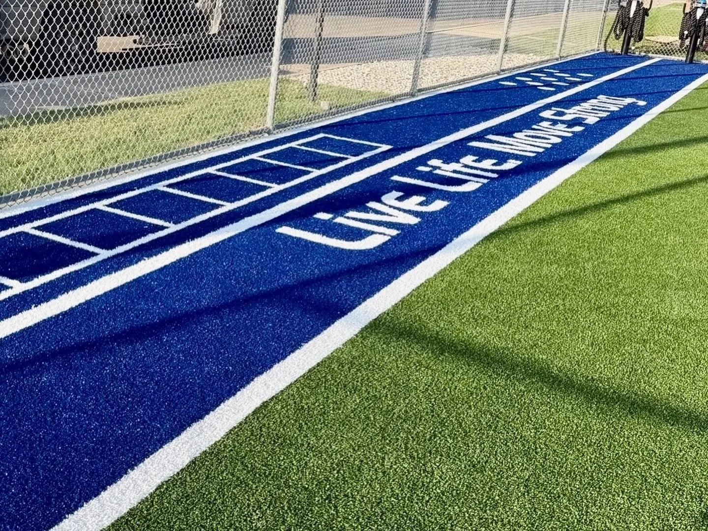 Agility Ladder &amp; Agility Dots