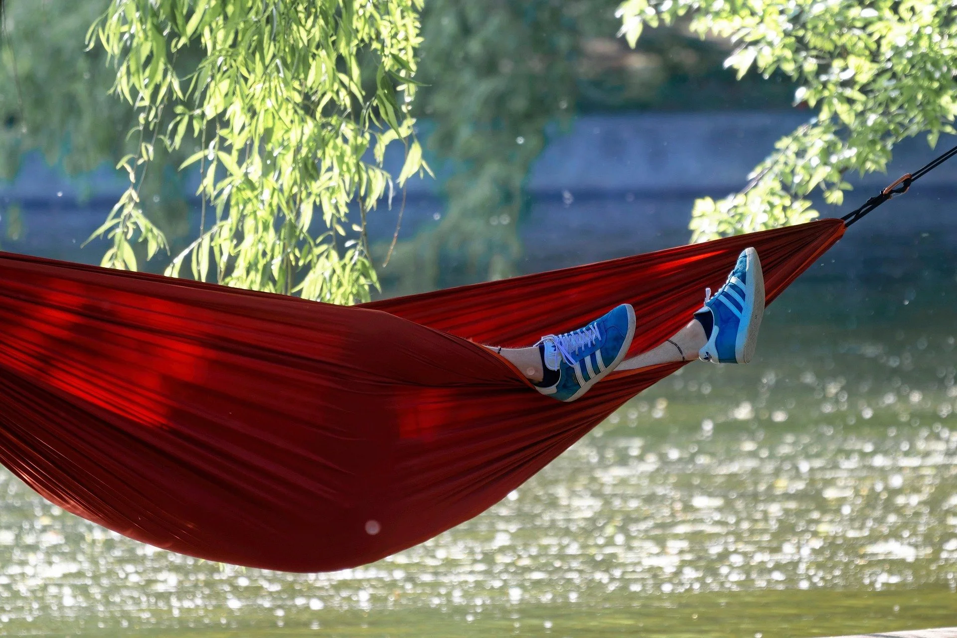 Hammock
