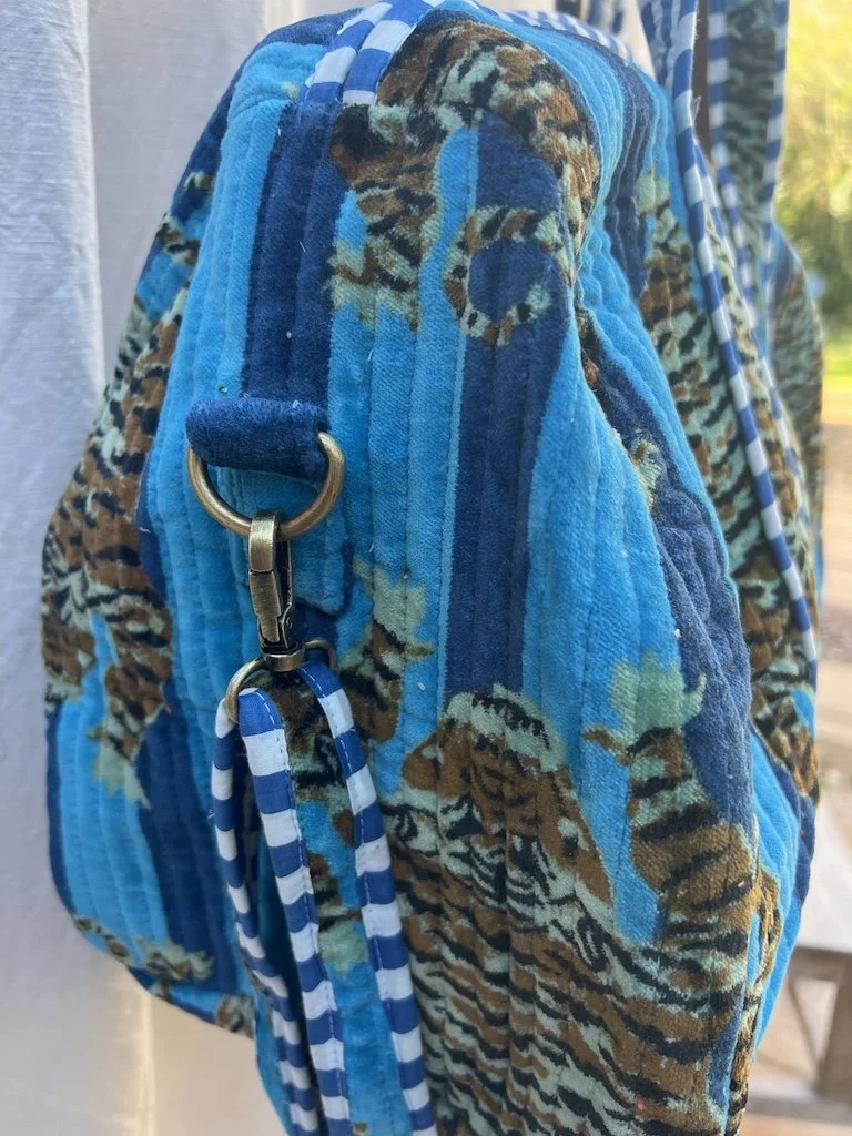 Squashes tiger 2.JPG