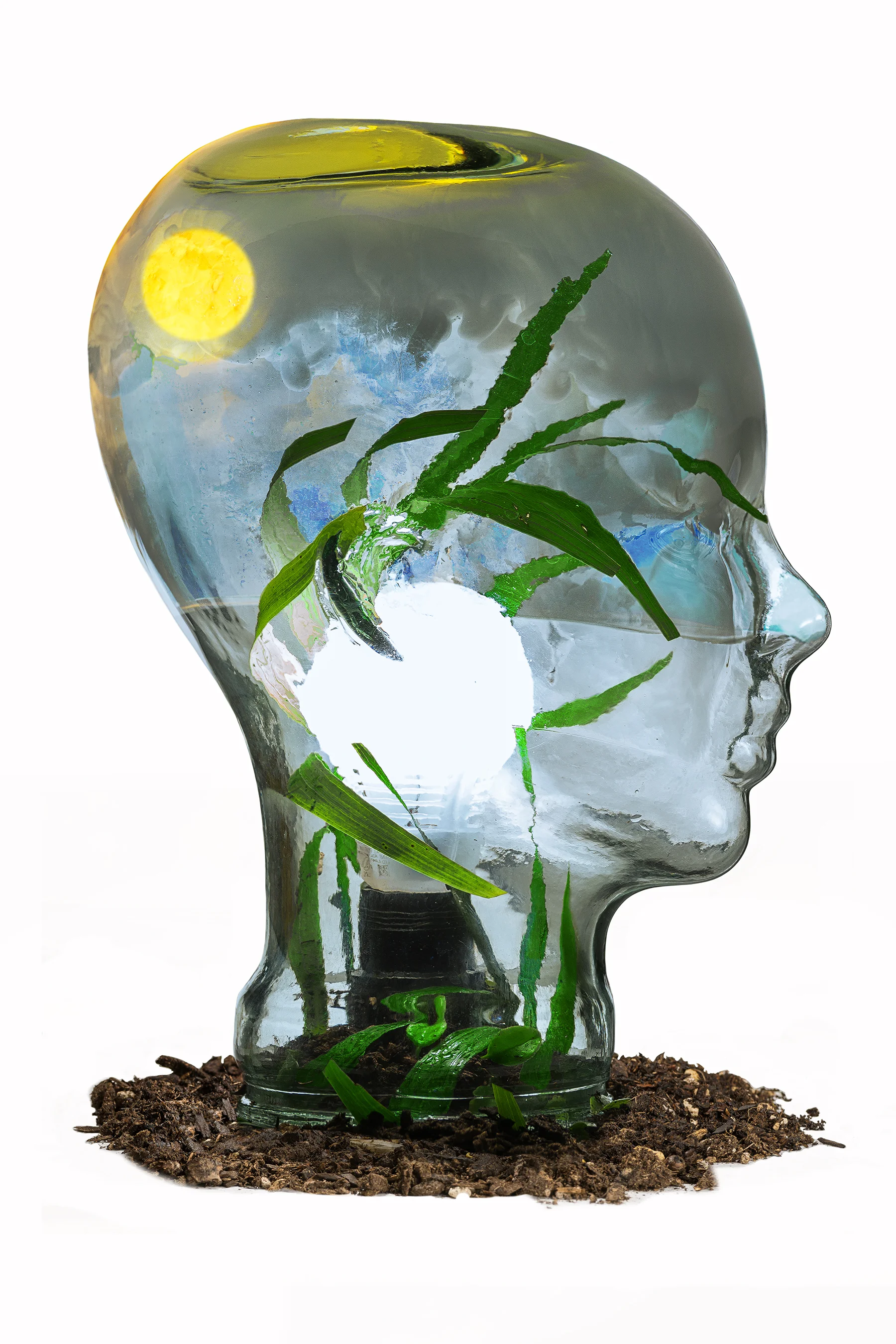 Green Energy.jpg